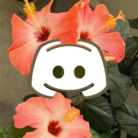 Discord mascot with flowers